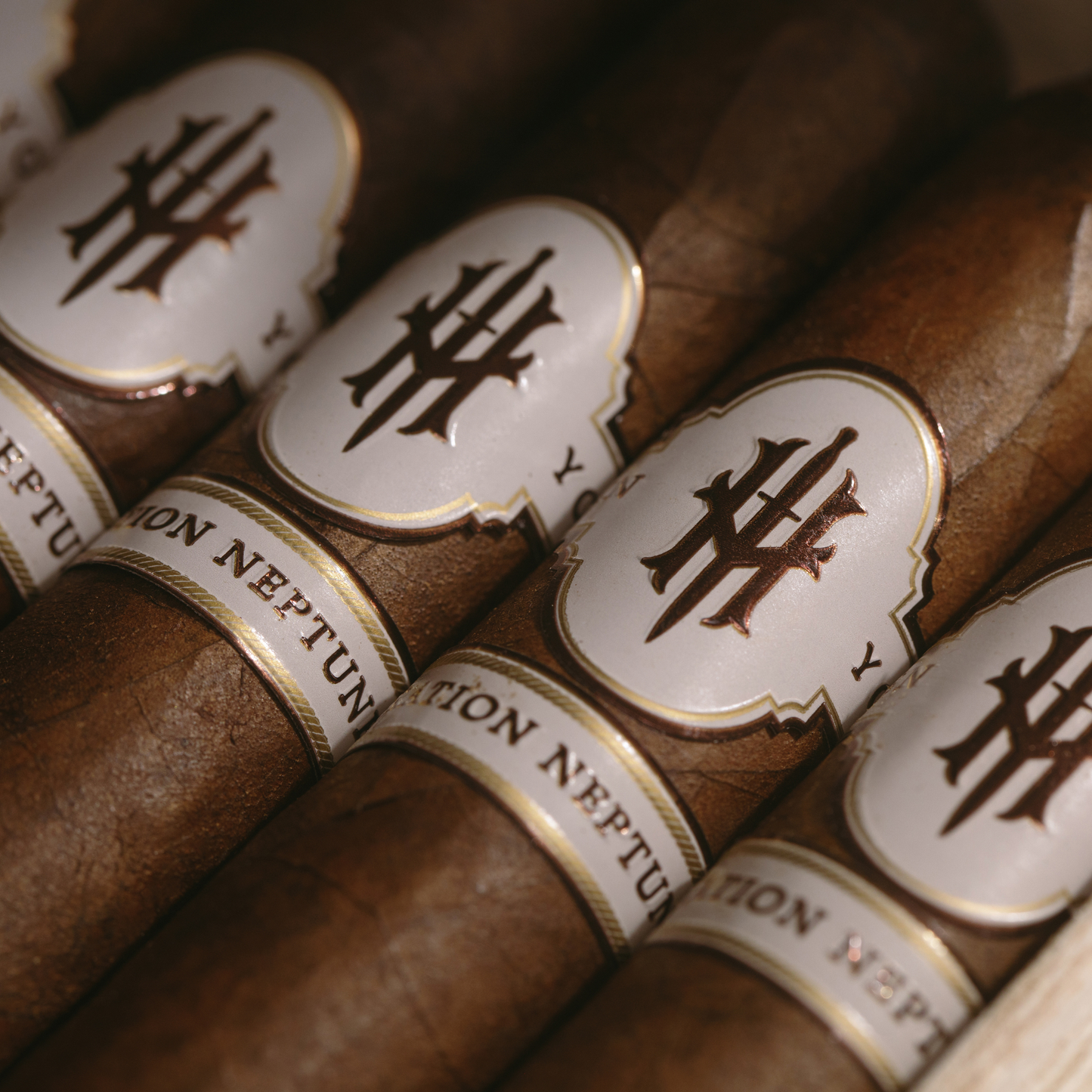 OPERATION NEPTUNE SPEAR