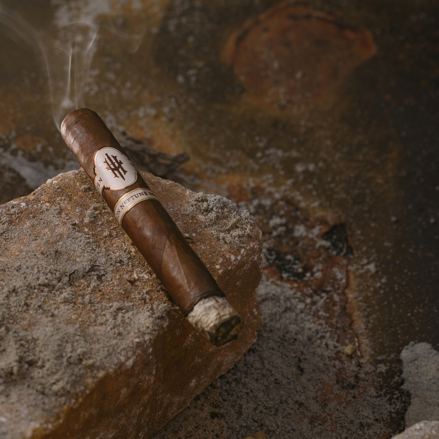 OPERATION NEPTUNE SPEAR